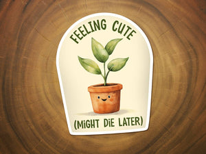 Feeling Cute, Might Die Later | Funny Plant Sticker | Plants: Large-MODE-Couture-Boutique-Womens-Clothing