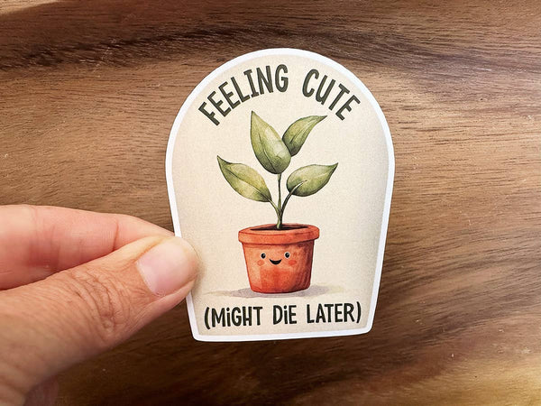 Feeling Cute, Might Die Later | Funny Plant Sticker | Plants: Large-MODE-Couture-Boutique-Womens-Clothing